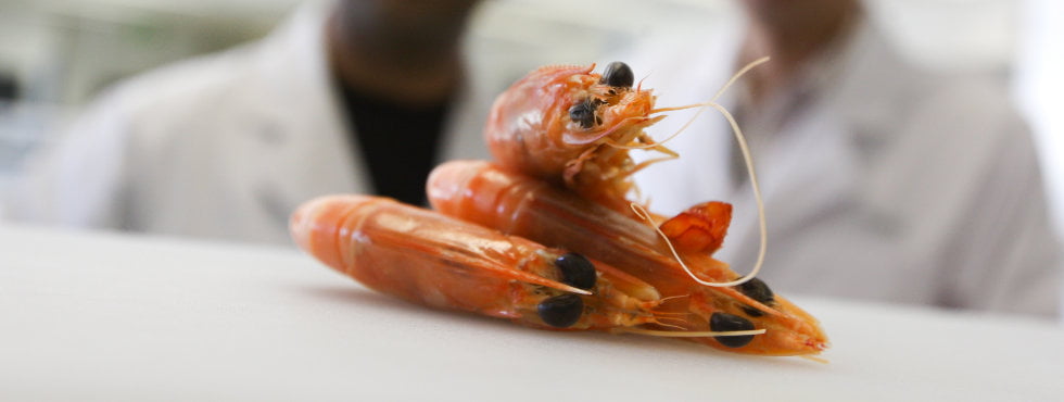 Allergy Management. Are You allergic to Nuts, Wheat, Egg, Shellfish, Household Chemicals?