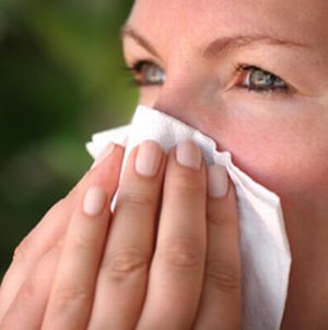 Allergy - Sneeze, Sore Eyes, Itchy and Dry Throat