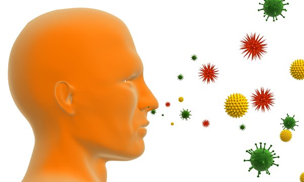 Allergy Sources - Pollen, Dust, Irritants