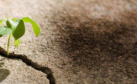 Perseverance, Persistence, Tenacity