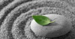 Mindful Meditation