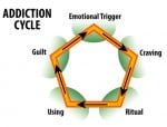 The Addiction Cycle