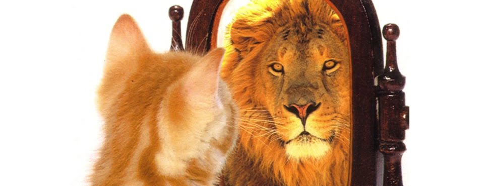 Boost Your Self-esteem and Confidence. Release the lion within.