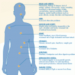Harmful Effects of Stress on Body