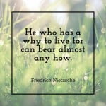 Friedrich Nietzsche: He who as a why to live for can bear almost any how.