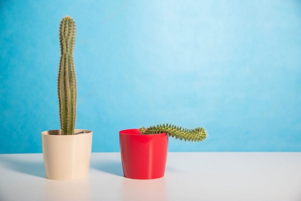 What is Erectile Dysfunction or Impotence?